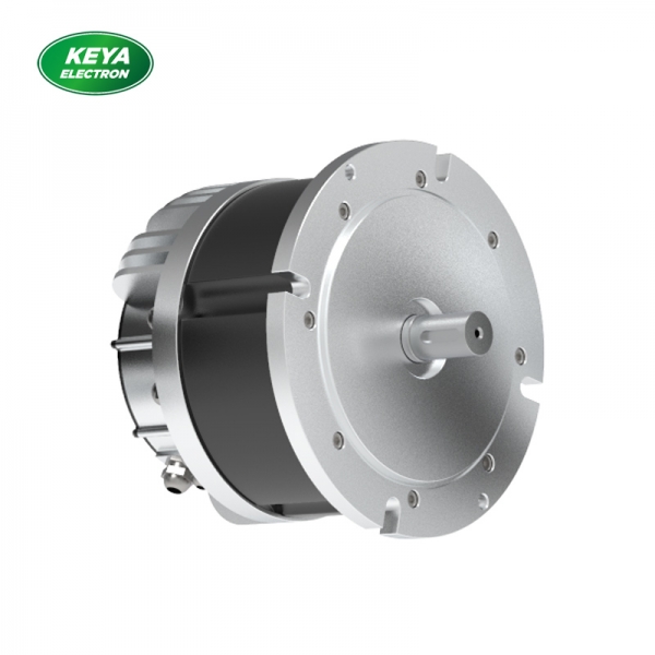 乐鱼网页版215系列48V 4000W 1500RPM